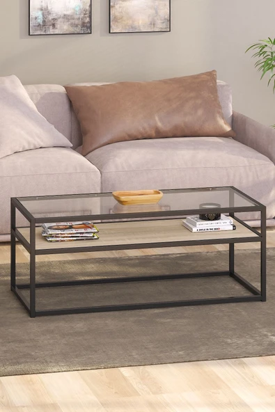 TOLIAHOME Modern Endülüs Siyah Renk Metal Iskeletli Temper Camlı 2 Katlı Dikdörtgen Orta Sehpa