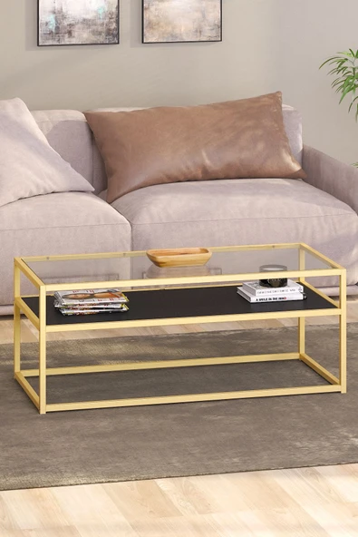 TOLIAHOME Modern Siyah-Gold Renk Metal İskeletli Temper Camlı 2 Katlı Dikdörtgen Orta Sehpa