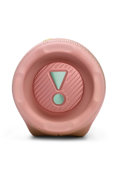 JBL Charge6 Bluetooth Hoparlör IP67 Pembe - 4