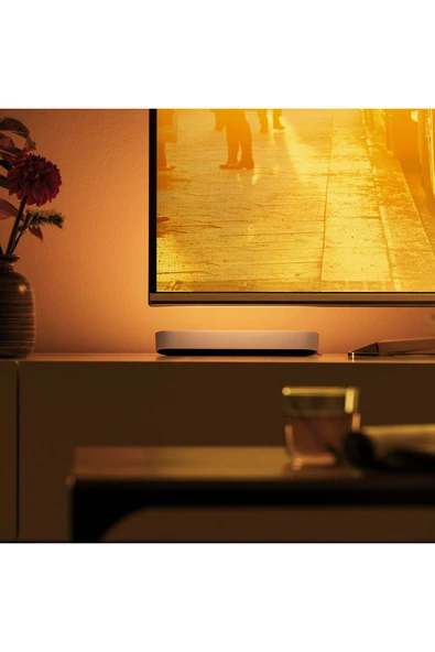 Philips Hue Play 2'li Ekopaket - Beyaz - 7