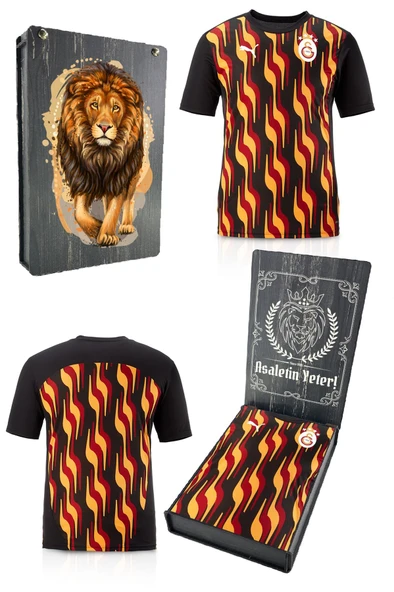 Galatasaray Orijinal Lisanslı Sıfır Yaka Siyah Antrenman T-Shirt Gs Aslan Baskılı Hediyelik Ahşap Kutulu ürün görseli