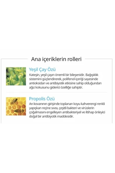 ATOMY KORE PROPOLİS VE YEŞİL ÇAY ÖZLÜ DİŞ MACUNU(50 GR) - 6