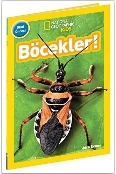 Böcekler ürün görseli