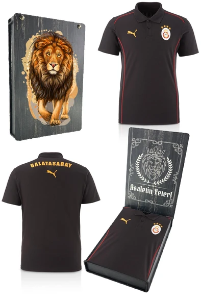 Galatasaray Orijinal Lisanslı Polo Yaka Siyah Antrenman T-Shirt Gs Aslan Baskılı Hediyelik Ahşap Kutulu