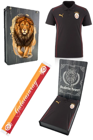 Galatasaray Orijinal Lisanslı Polo Yaka Siyah Antrenman T-Shirt + Şal Kaşkol Set Hediyelik Ahşap Kutulu ürün görseli