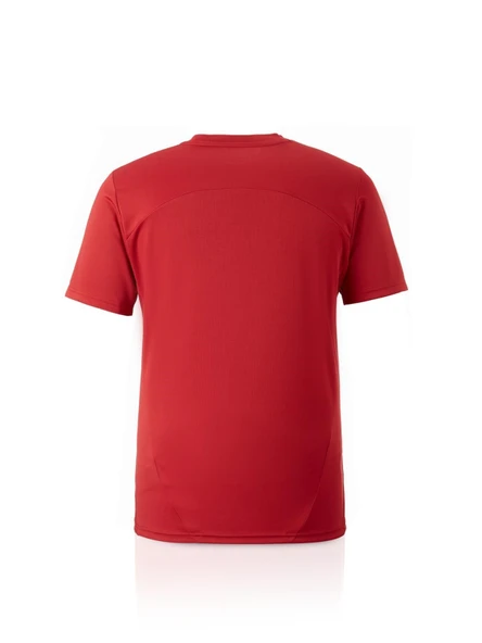 Galatasaray Orijinal Lisanslı Sıfır Yaka Kırmızı A Takım Antrenman T-Shirt + Şal Kaşkol Set Hediyelik Ahşap Kutulu - Resim 4