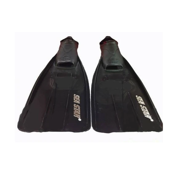 29/31 SEA STAR PALET - Resim 2