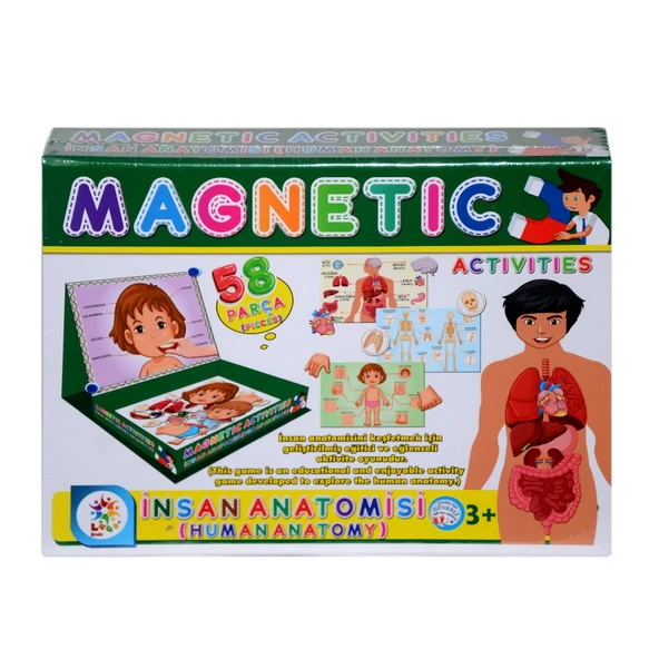 LC7171 Laço, Laço, Manyetik Aktiviteler - İnsan Anatomisi / +3 yaş ürün görseli