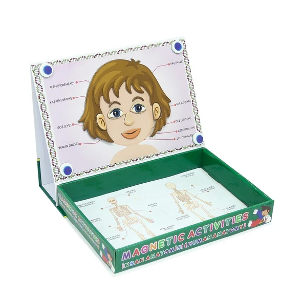 LC7171 Laço, Laço, Manyetik Aktiviteler - İnsan Anatomisi / +3 yaş - Resim 2