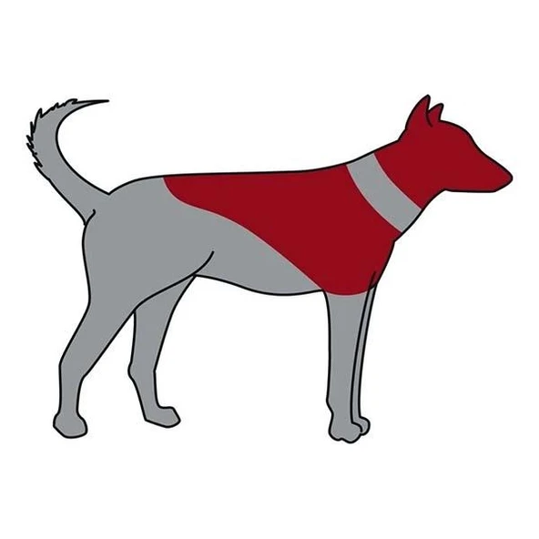 Trixie Köpek Koruyucu Şişme Yakalık Xxs Mavi - 3