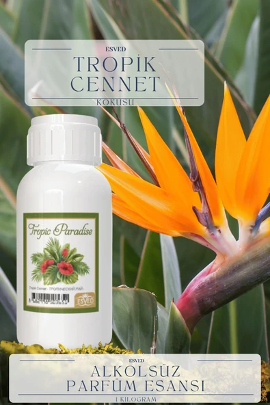 Tropik Cennet Kokusu  Toptan Parfüm Esansı 1 Kilogram ürün görseli