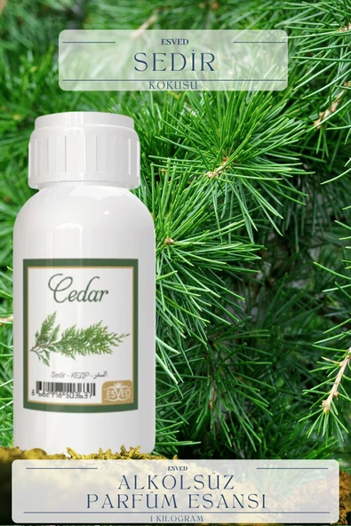 Sedir Kokusu  Toptan Parfüm Esansı 1 Kilogram ürün görseli
