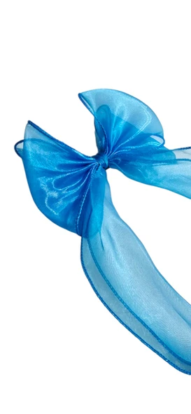 Fiyonklu Çocuk Okul Tokası - 3