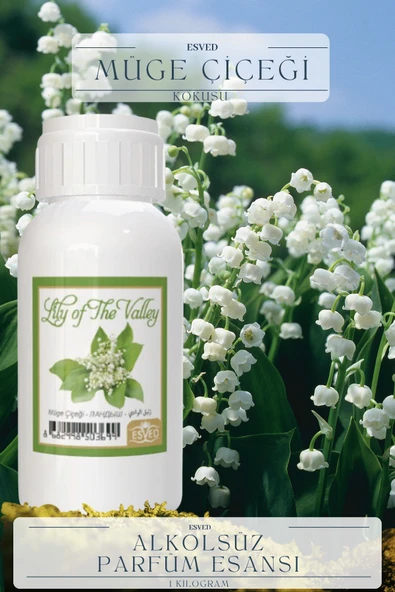 Müğe Çiçeği Kokusu  Toptan Parfüm Esansı 1 Kilogram ürün görseli