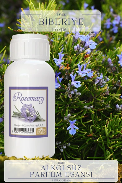 Biberiye Kokusu Toptan Parfüm Esansı 1 Kilogram ürün görseli