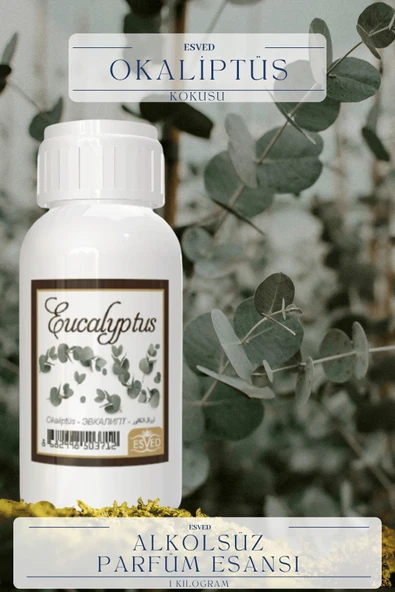 Okaliptus Kokusu  Toptan Parfüm Esansı 1 Kilogram ürün görseli
