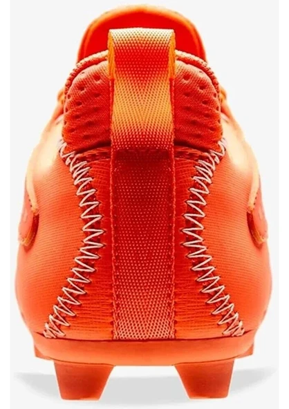 Lescon Rapido Erkek Krampon Fosfor-Sardunya - 4