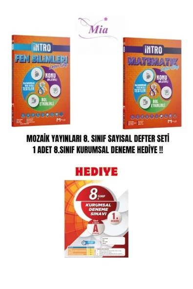 LGS MOZAİK YAYINLARI SAYISAL DEFTER SET - 1