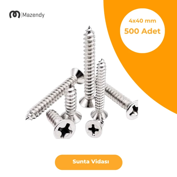 Sunta Vidası Galvanizli 4x40 mm 500 Adet
