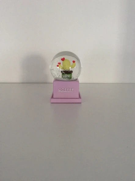 Kaktüs Mini Kar Küre Lila - 4