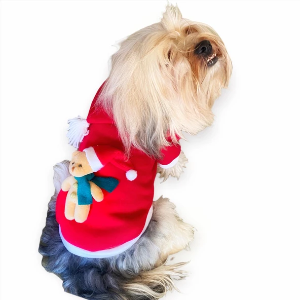 Teddy 2023 Yılbaşı Köpek Sweatshirt