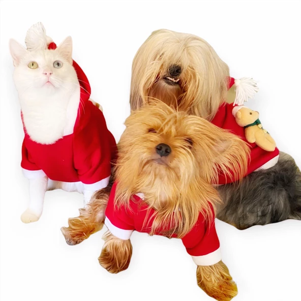 Teddy Noel Kapşonlu Kedi Sweatshirt - 6