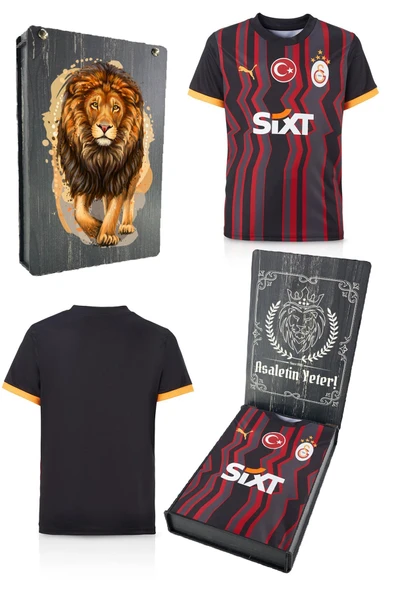 Galatasaray Orijinal 2024/25 Alternatif Siyah Taraftar Forma Aslan Baskılı Hediyelik Ahşap Kutulu ürün görseli 1