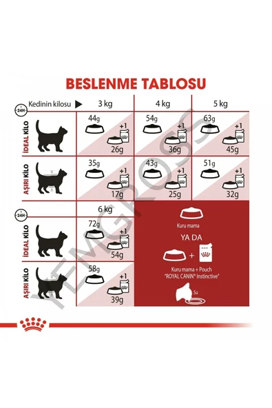Fit32 Yetişkin Kuru Kedi Maması 2kg - Resim 4