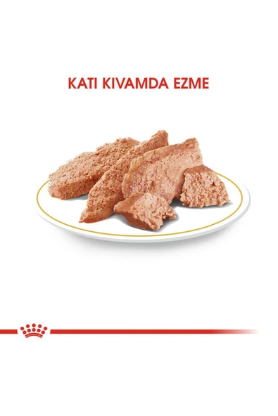 Poodle Yaş Köpek Maması 12 x 85g - Resim 4