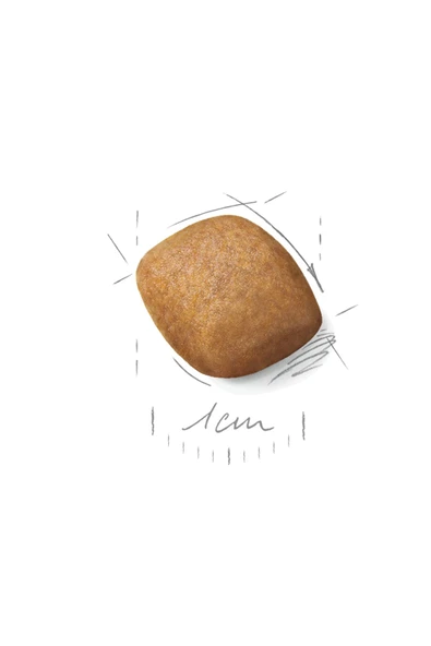 Pomeranian Kuru Köpek Maması 3kg - 2