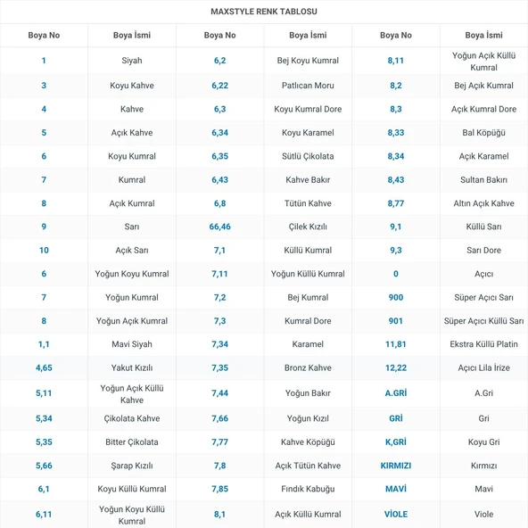 Maxstyle Kuaför Seti 60 Ml 100 Adet Saç Boyası +  100 Adet 90 Ml Oksidan - 2
