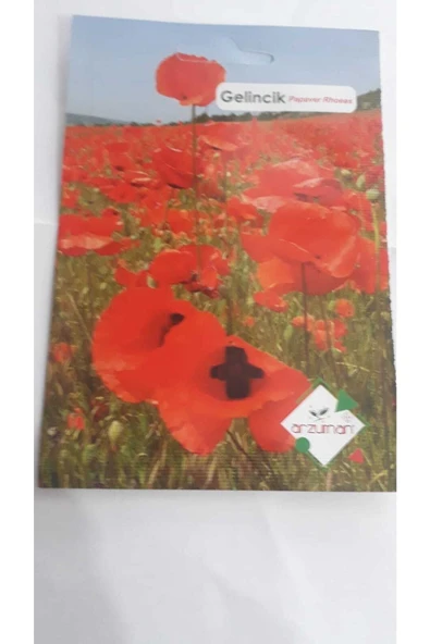 Gelincik Çiçeği Tohumu (50 adet) - Resim 2