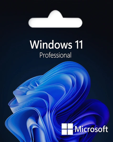 MICROSOFT Windows 11 Pro - 2
