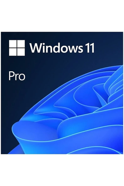 MICROSOFT Ms Fqc-10556 Win 11 Pro 64bit Tr Işletim Sistemi ürün görseli 1