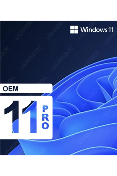 Microsoft Windows 11 Pro OEM - Ömür Boyu Kalıcı Dijital Lisans - Resim 2