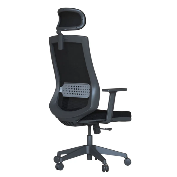 Casella Teknik Ofis Mobilyaları Pordo Fileli Ayarlanabilir Kol Hareketli Bel Destekli Siyah Yönetici Çalışma Koltuğu - 4