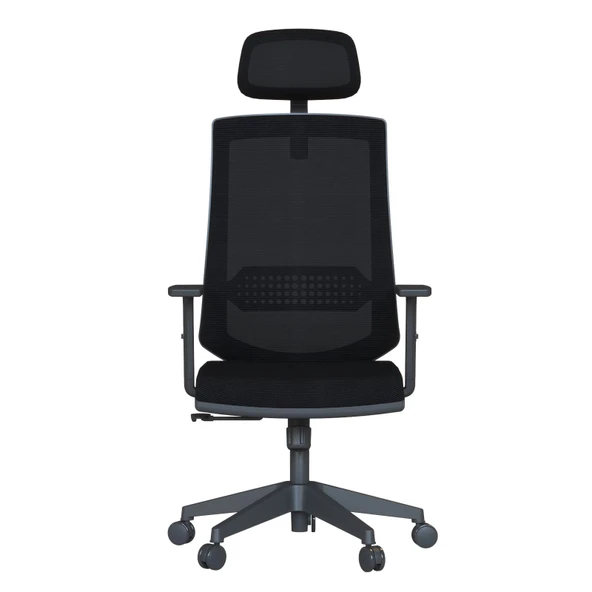 Casella Teknik Ofis Mobilyaları Pordo Fileli Ayarlanabilir Kol Hareketli Bel Destekli Siyah Yönetici Çalışma Koltuğu - 3