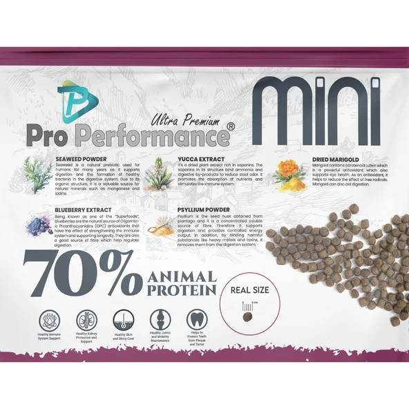 Pro Performance Ultra Premium Hipoalerjenik Kuzu Etli ve Yaban Mersinli Küçük Irk Yavru Köpek Maması 7 Kg - Resim 3