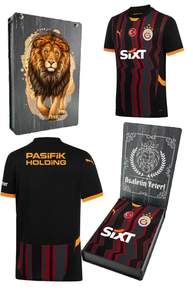 Galatasaray Orijinal Lisanslı 2024/25 Alternatif Siyah Forma - 10