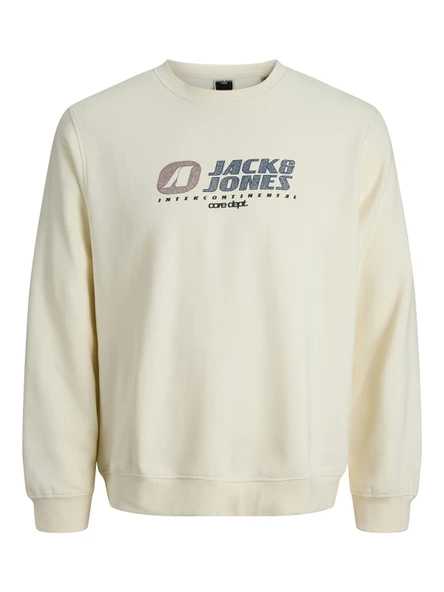 JACK JONES Yazı Baskılı Erkek Tişört 12282791 ürün görseli