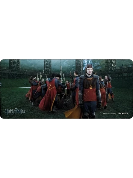 EXVEGA Harry Potter Ron Weasley Mousepad XXL - 1