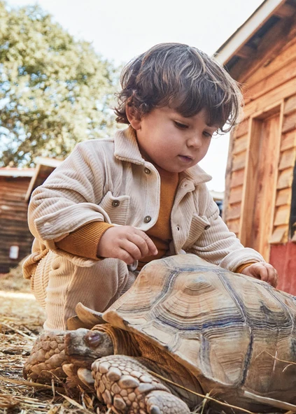 Mayoral Erkek Bebek Kadife Gömlek - 5
