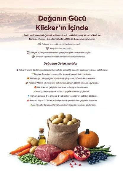 KLICKER YETİŞKİN KÖPEK KURU MAMASI KUZULU - 5
