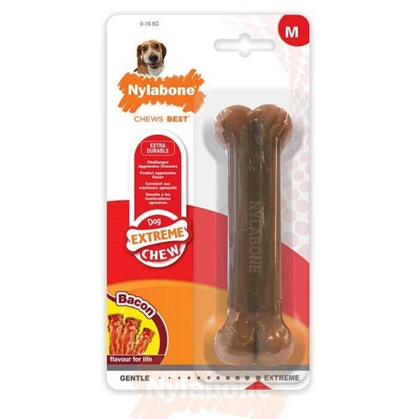 816232-Nylabone Domuz Pastırması Aromalı Köpek Çiğneme Kemiği M 14 Cm ürün görseli 1