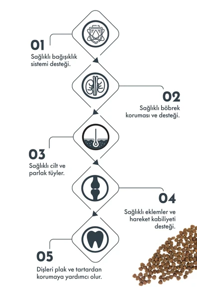 Pro Performance Yetişkin Mini Irk Somonlu ve Yaban Mersinli Köpek Maması 7 Kg - Resim 2