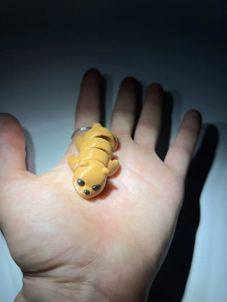 Bebek Ayı Eklemli Anaharlık - Resim 5