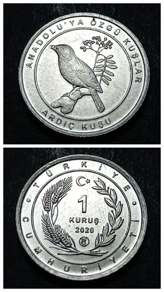 Escoines 3996368949468e1cdc 2020 Anadolu'ya Özgü Kuşlar Serisi ARDIÇ KUŞU 1Kuruş ÇİL Para