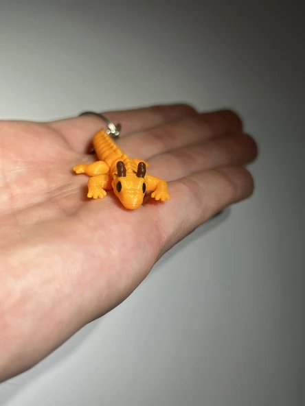 Minik Ejderha Eklemli Anahtarlık - Resim 5