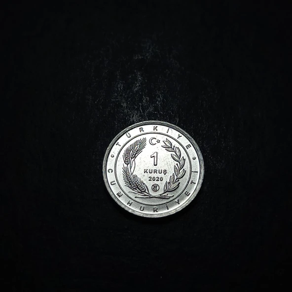 Escoines 3996368949468e1cdc 2020 Anadolu'ya Özgü Kuşlar Serisi ARDIÇ KUŞU 1Kuruş ÇİL Para - 3