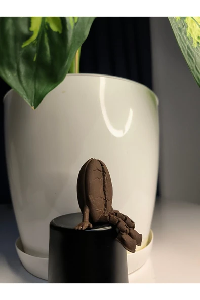 Dekoratif Kahve Çekirdeği Oturan Biblo - Resim 2